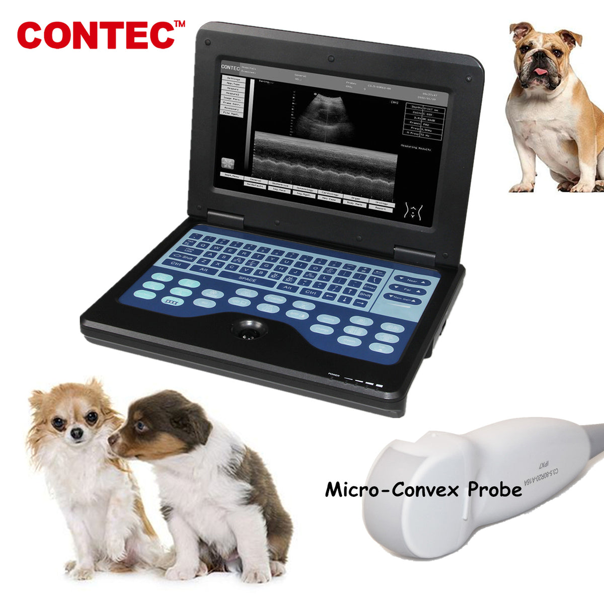 Scanner à ultrasons vétérinaire CMS600P2VET, Machine portable, cheval/ –  CONTEC