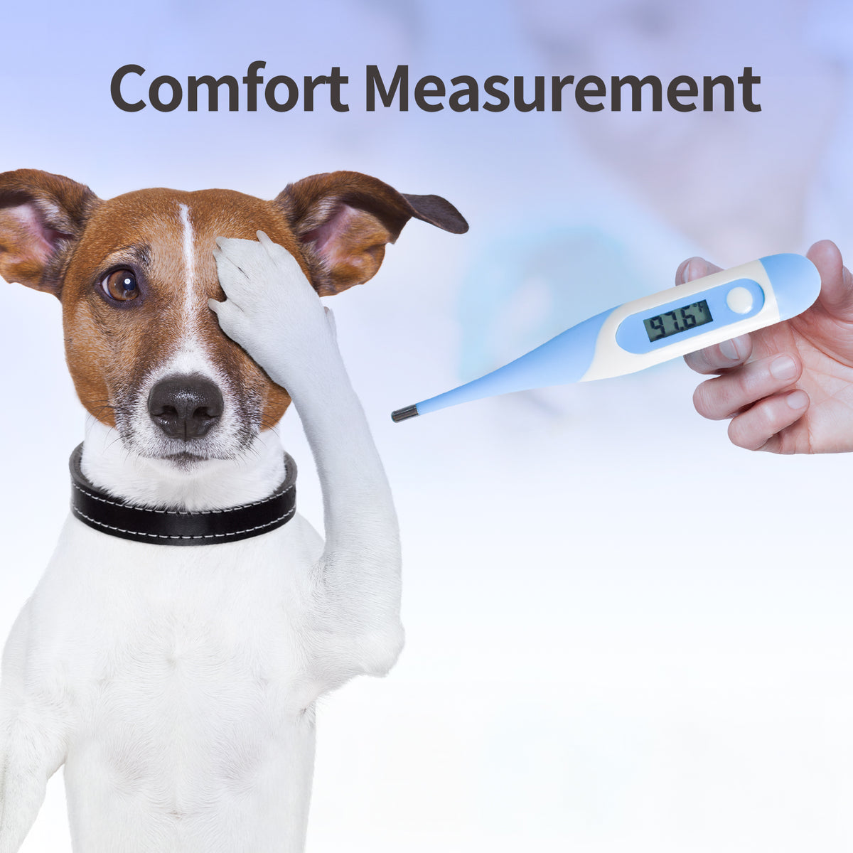 BV Medical Animatemps Dog Digital Thermometer