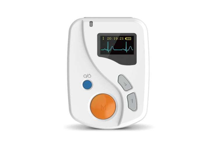 TLC6000 dynamique 12 canaux ECG/EKG Holter enregistreur systèmes moniteur logiciel analyseur