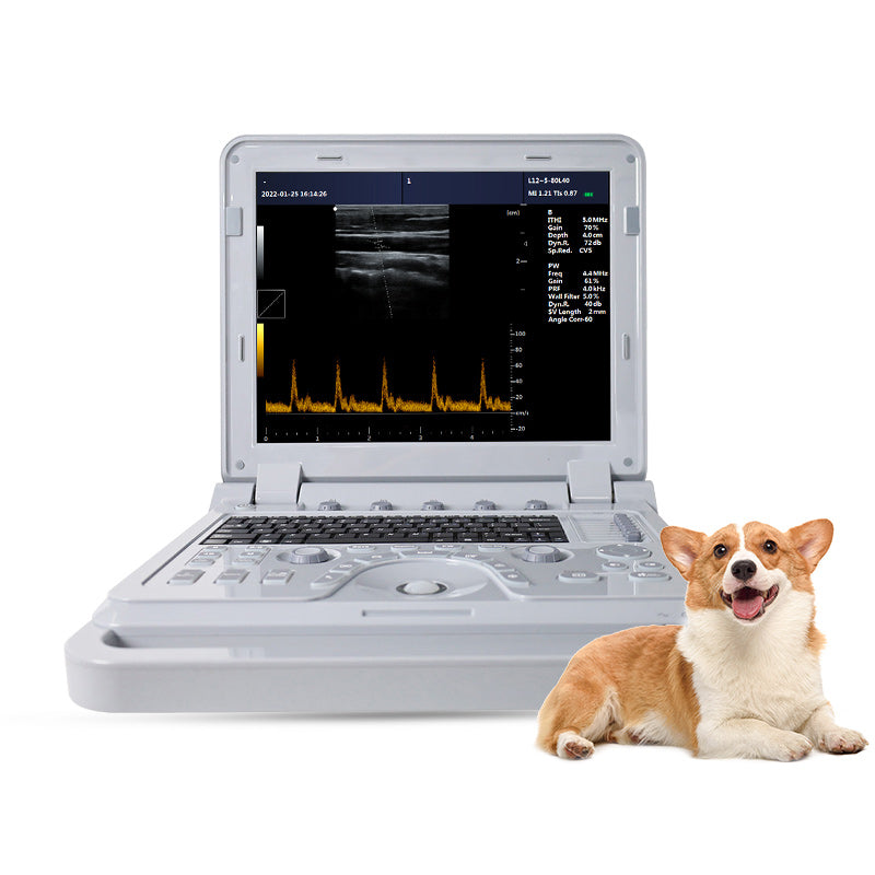 VET CONTEC CMS600P2PLUS-VET B - Escáner de ultrasonido con sonda convexa, la máquina más nueva para animales domésticos