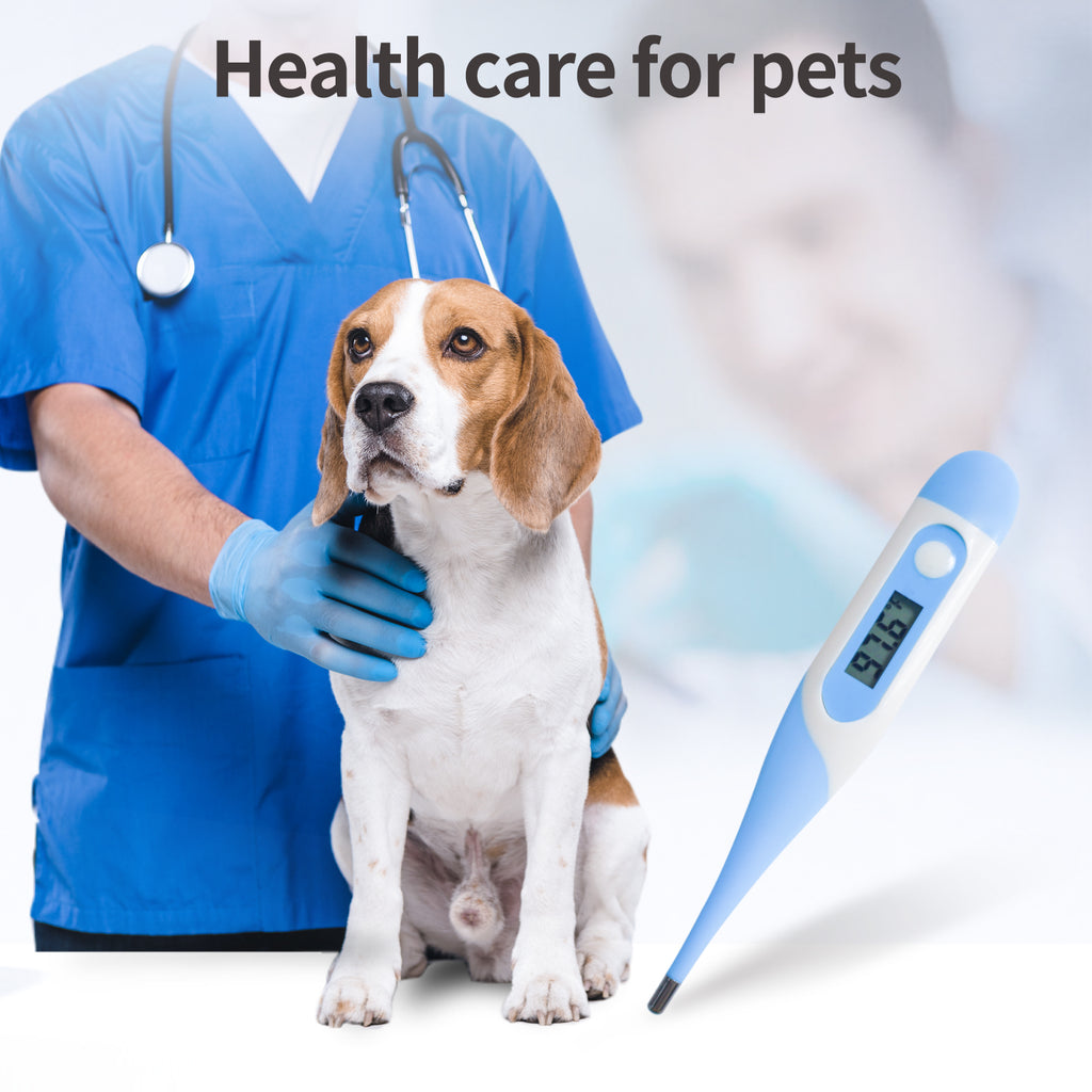 T15S VET Thermomètre numérique Diagnostic rapide usage vétérinaire animal chat chien 