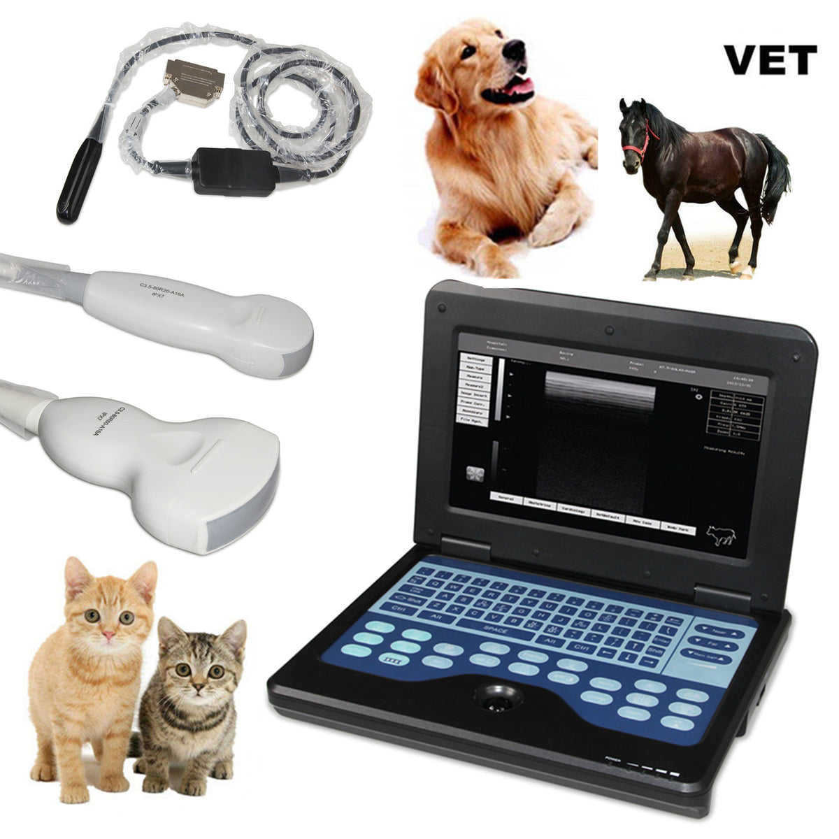 CONTEC Veterinary CMS600P2VET Notebook Animal Use B-ultrasound Diagnos