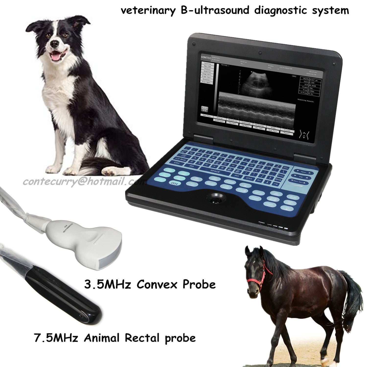 VET Veterinary Ultrasound Scanner Laptop Machine+animal Rectal+convex ...